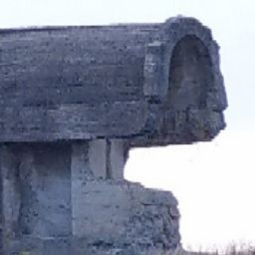 Profile photo of Log Up