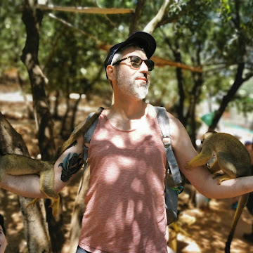 Profile photo of dror strom