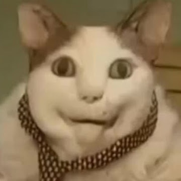 Profile photo of boom